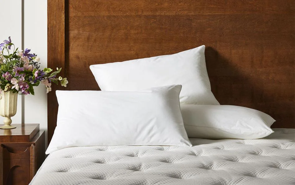 Lot De 2 Oreillers Plumes Et Duvet D'Oie 50x70cm - Confort Hôtelier Premium
