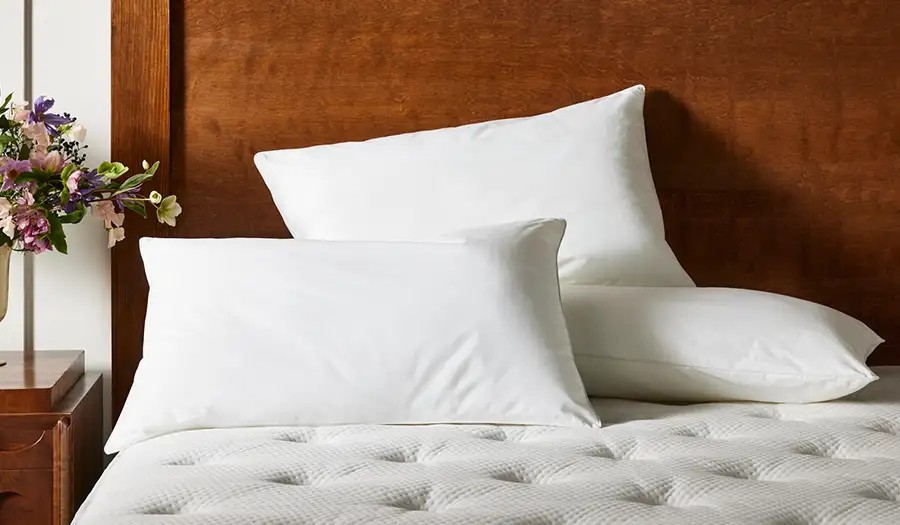Oreiller Mercure plumes et duvet